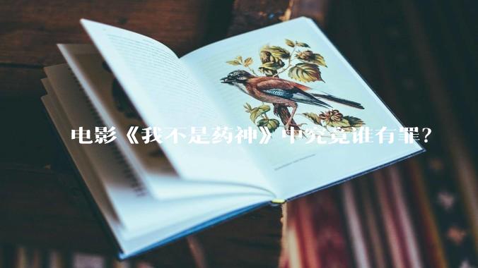 电影《我不是药神》中究竟谁有罪？