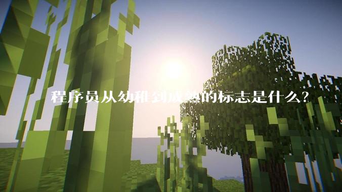程序员从幼稚到成熟的标志是什么？